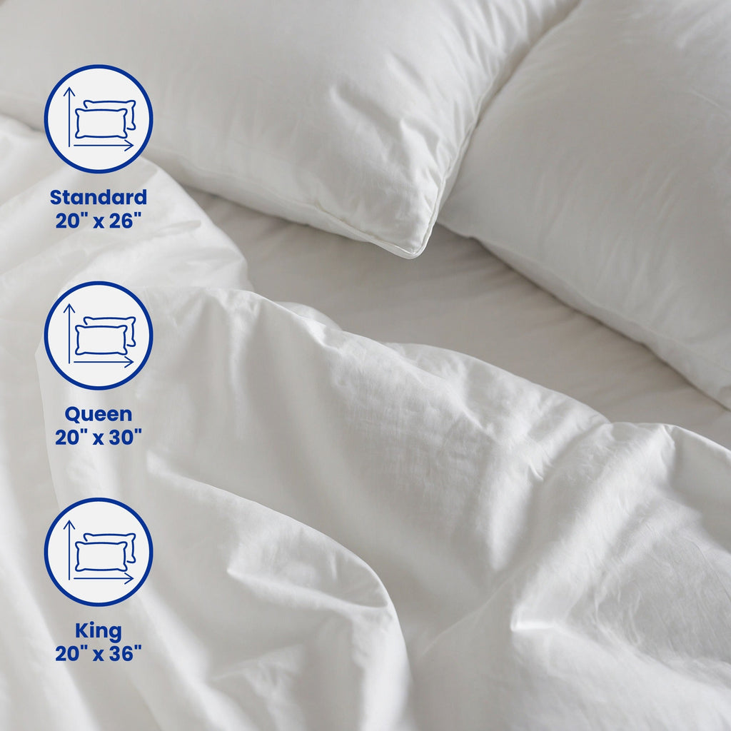 Refresh Fibre Pillow - BUY ONE GET ONE FREE! - isleptsowell