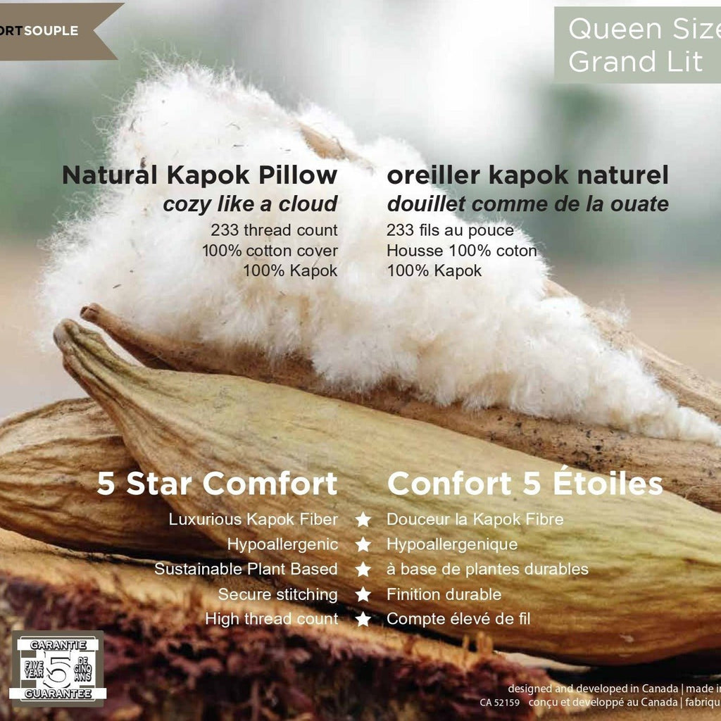 Kapok Tree Pure Dream Pillow - isleptsowell.com